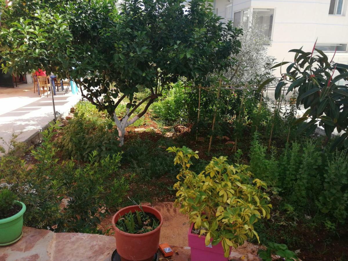 شقة Helen'S House كساميل المظهر الخارجي الصورة